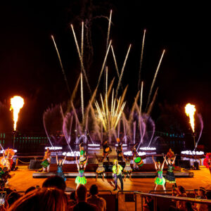 Skylighter Fireworks After Dark Sea World Carnivale 2023